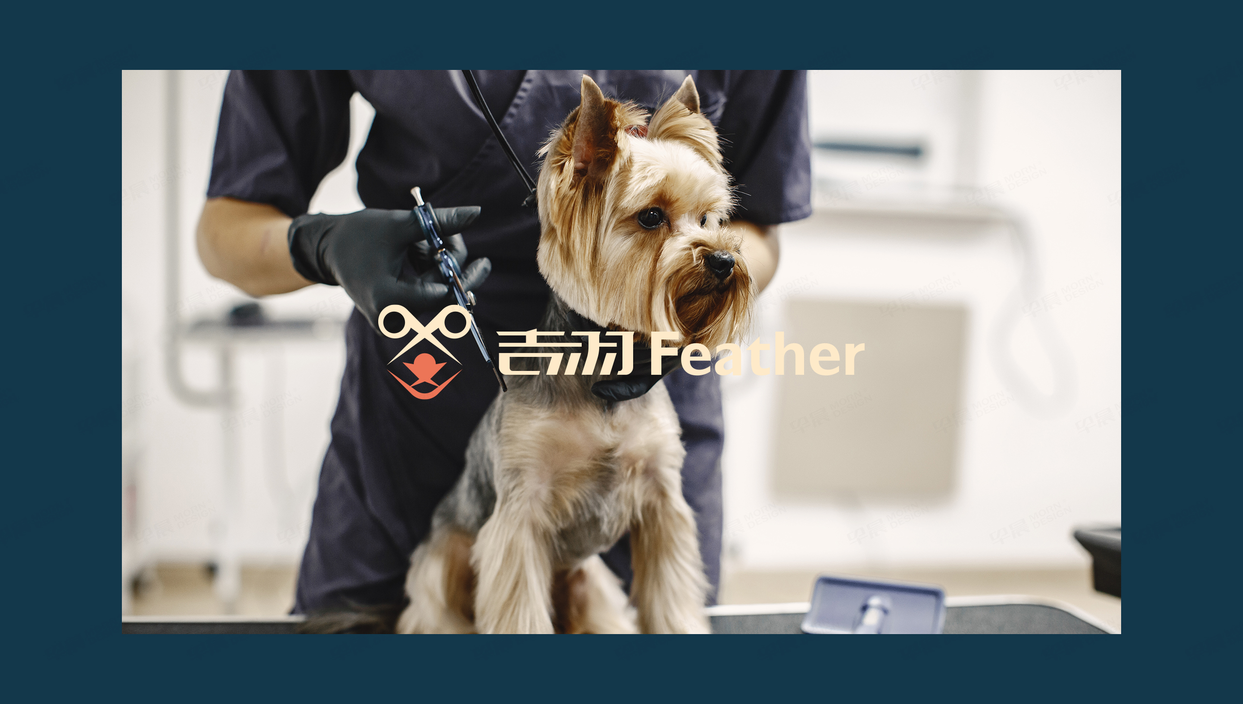 logo設(shè)計(jì),吉羽,寵物剪刀logo設(shè)計(jì),字體設(shè)計(jì),品牌VI設(shè)計(jì),蘇州,無錫,常州,南通,泰州,鎮(zhèn)江,南京,揚(yáng)州,品牌VI形象設(shè)計(jì),Logo設(shè)計(jì)公司